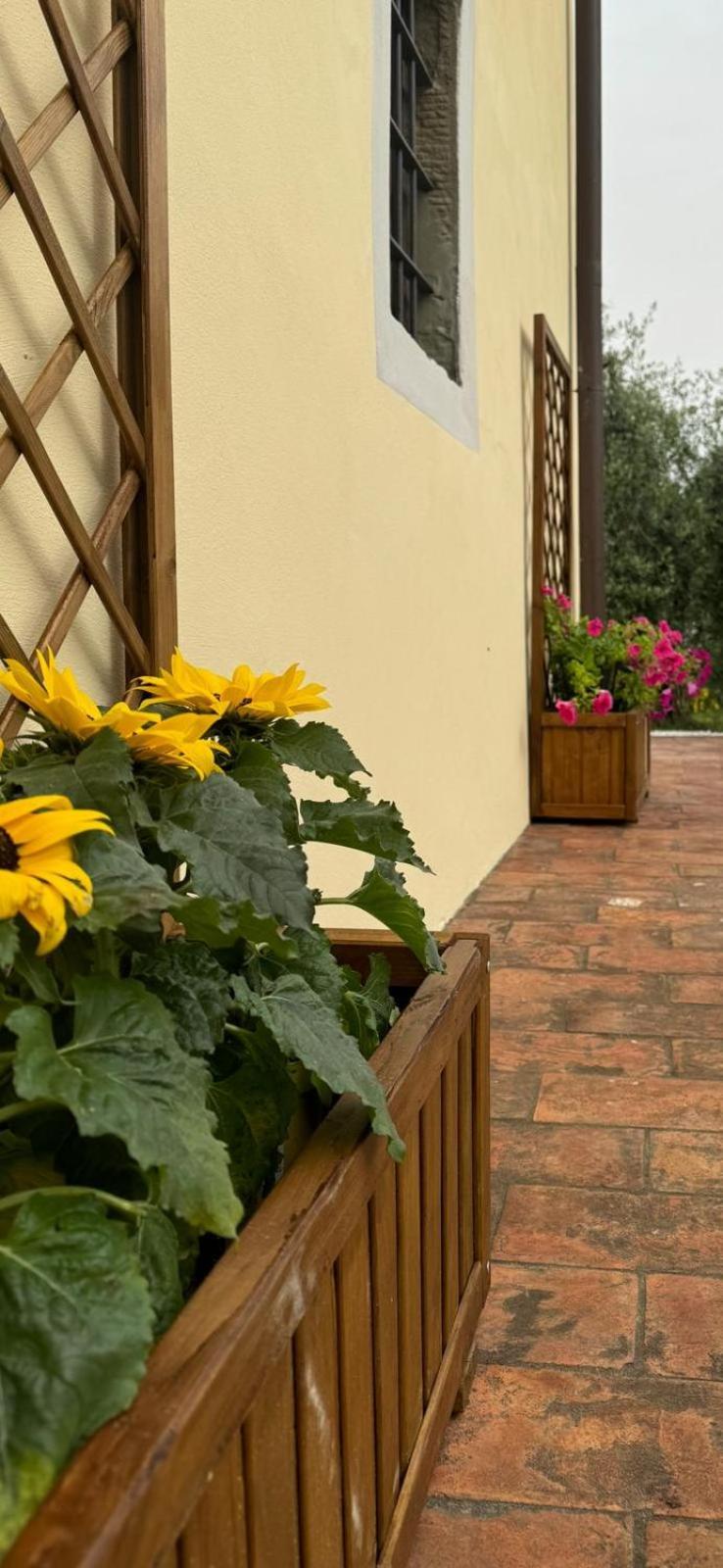 Agriturismo Da Nonna Argia Massa e Cozzile Exterior foto